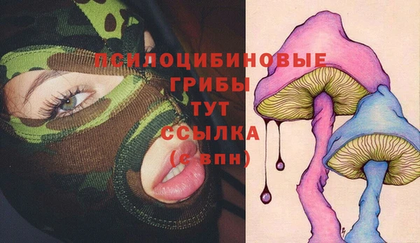 хмурый Ладушкин