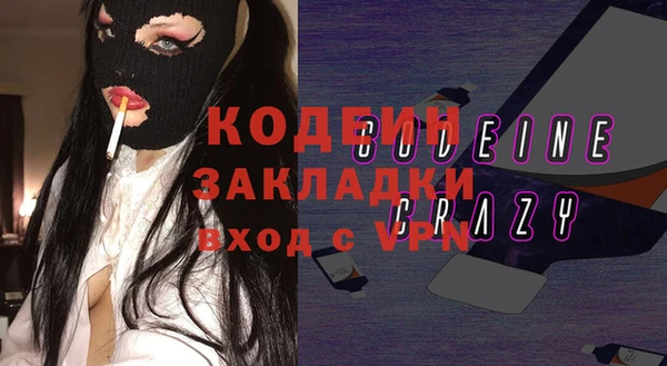 хмурый Ладушкин
