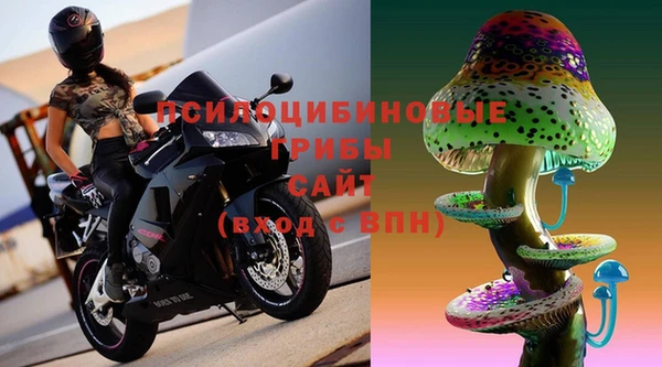 хмурый Ладушкин