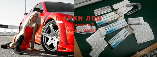 хмурый Ладушкин