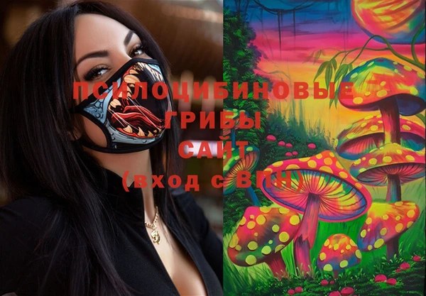 хмурый Ладушкин