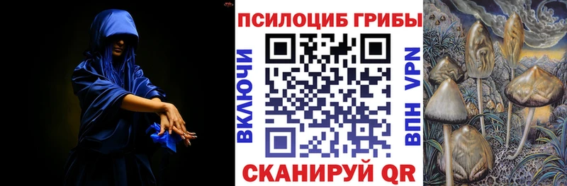 Псилоцибиновые грибы MAGIC MUSHROOMS  Купить  Чита 
