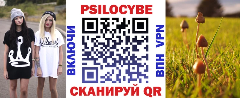 Псилоцибиновые грибы прущие грибы Чита